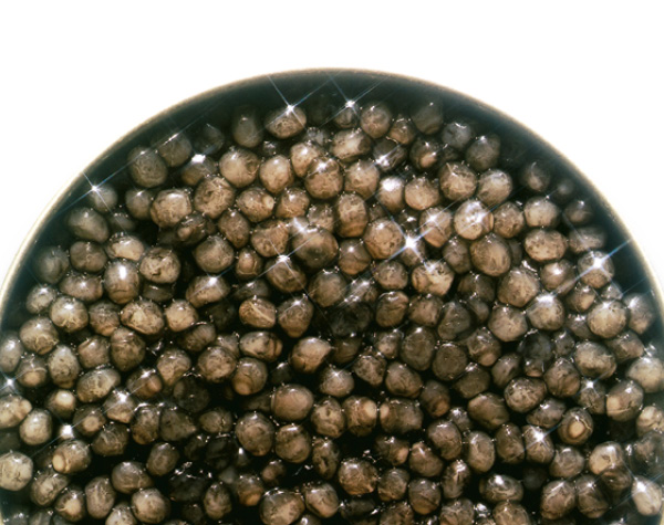 Gilles Valette, N+V:LE PRINTEMPS